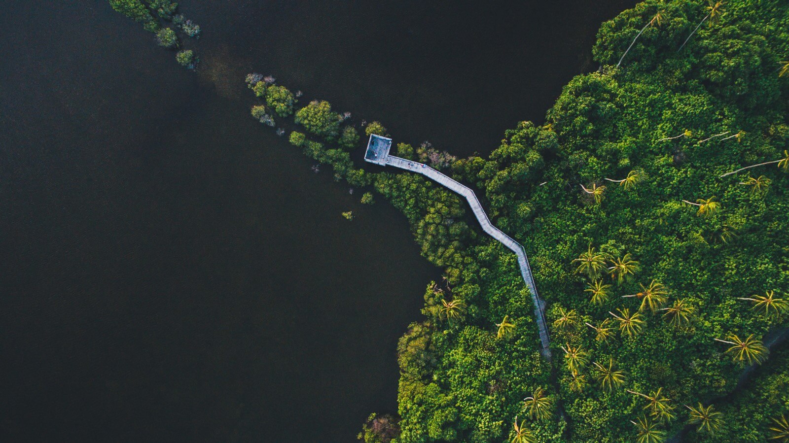 Showreel: dronevideo i natur og by